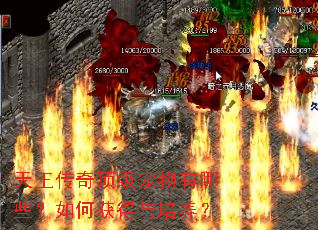 �������涥����������Щ����λ����������
