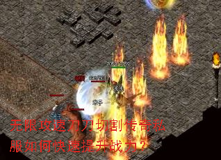 ���޹��ٵ����и��˽����ο�������ս����