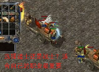 ѡ���ʿ����սʿ���ʺ��Լ���ְҵ����Ҫ