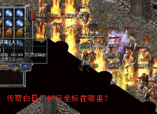 传奇白日门树妖坐标在哪里? 传奇白日门树妖坐标在哪里?