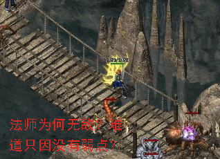 法师为何无敌?难道只因没有弱点? 法师为何无敌?难道只因没有弱点?