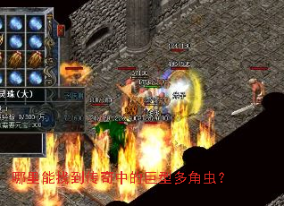 哪里能找到传奇中的巨型多角虫? 哪里能找到传奇中的巨型多角虫?