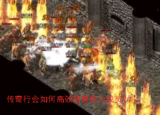 传奇行会如何高效招募强力成员? 传奇行会如何高效招募强力成员?
