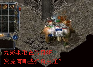 九彩羽毛在传奇SF中究竟有哪些神奇用途? 九彩羽毛在传奇SF中究竟有哪些神奇用途?