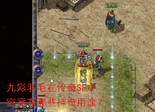 九彩羽毛在传奇SF中究竟有哪些神奇用途? 九彩羽毛在传奇SF中究竟有哪些神奇用途?