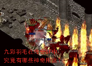 九彩羽毛在传奇SF中究竟有哪些神奇用途? 九彩羽毛在传奇SF中究竟有哪些神奇用途?