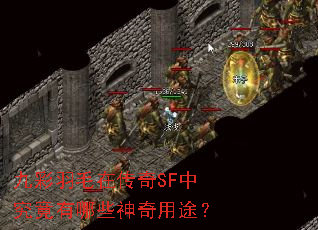 九彩羽毛在传奇SF中究竟有哪些神奇用途? 九彩羽毛在传奇SF中究竟有哪些神奇用途?