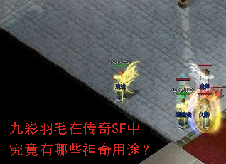 九彩羽毛在传奇SF中究竟有哪些神奇用途? 九彩羽毛在传奇SF中究竟有哪些神奇用途?