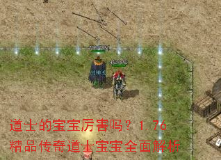 道士的宝宝厉害吗?1.76精品传奇道士宝宝全面解析 道士的宝宝厉害吗?1.76精品传奇道士宝宝全面解析