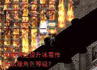 如何快速提升冰雪传奇私服角色等级? 如何快速提升冰雪传奇私服角色等级?