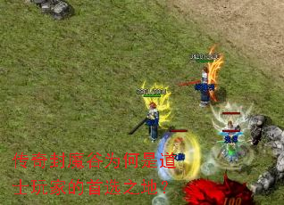 传奇封魔谷为何是道士玩家的首选之地? 传奇封魔谷为何是道士玩家的首选之地?