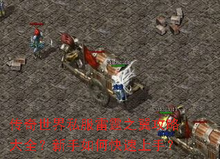 传奇世界私服雷霆之翼攻略大全?新手如何快速上手? 传奇世界私服雷霆之翼攻略大全?新手如何快速上手?