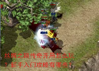 丝绸之路传奇开局怎么玩?新手入门攻略有哪些? 丝绸之路传奇开局怎么玩?新手入门攻略有哪些?