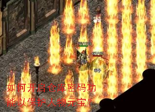 ��ο����ֿ����빦���Ա�������Ԫ����