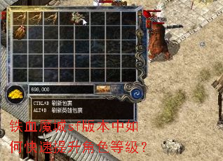 铁血魔城sf版本中如何快速提升角色等级? 铁血魔城sf版本中如何快速提升角色等级?
