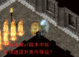 铁血魔城sf版本中如何快速提升角色等级? 铁血魔城sf版本中如何快速提升角色等级?