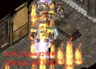 �������GeeM2��������Ļ�ɱ�����ű���
