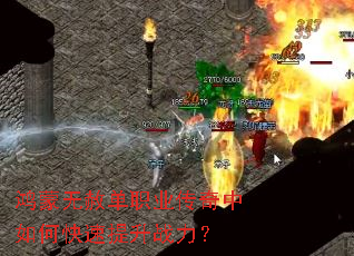 �������ⵥְҵ��������ο�������ս����