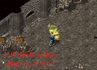 如何提升散人服boss爆率与玩法技巧? 如何提升散人服boss爆率与玩法技巧?