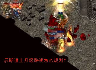 后期道士升级路线怎么规划? 后期道士升级路线怎么规划?