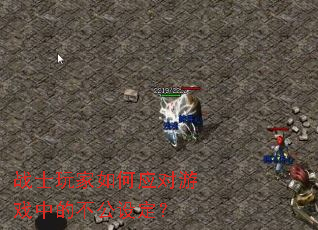 սʿ������Ӧ����Ϸ�еĲ����趨��