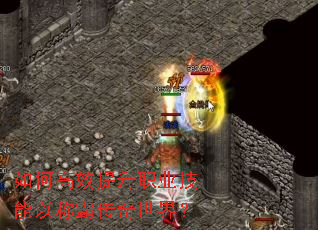 ��θ�Ч����ְҵ�����ԳưԴ������磿
