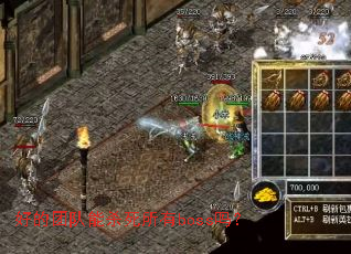 �õ��Ŷ���ɱ������boss��