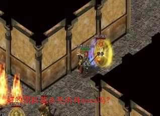 �õ��Ŷ���ɱ������boss��