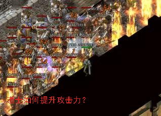 道士如何提升攻击力? 道士如何提升攻击力?