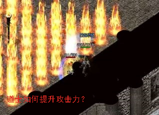 道士如何提升攻击力? 道士如何提升攻击力?