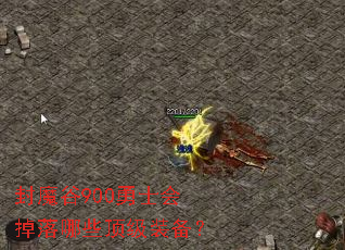 封魔谷900勇士会掉落哪些顶级装备? 封魔谷900勇士会掉落哪些顶级装备?