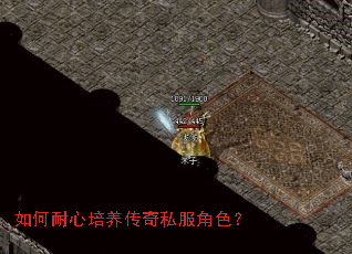 如何耐心培养传奇私服角色? 如何耐心培养传奇私服角色?