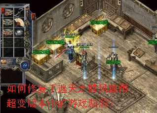 如何修复手遮天之腥风血雨超变版本中的游戏漏洞? 如何修复手遮天之腥风血雨超变版本中的游戏漏洞?