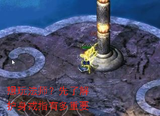 ���淨ʦ�����˽⻤����ָ�ж���Ҫ