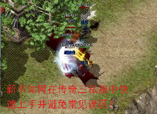 新手如何在传奇三私服中快速上手并避免常见误区? 新手如何在传奇三私服中快速上手并避免常见误区?