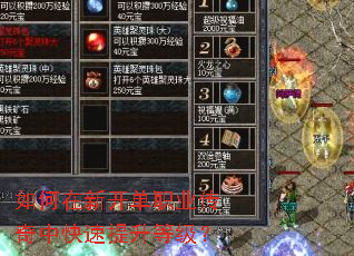 ������¿���ְҵ�����п��������ȼ���