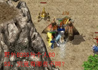 Ұ��BOSS�����BOSS����������Щ��ͬ��