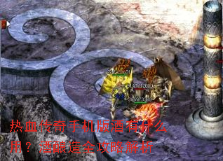 ��Ѫ�����ֻ������ʲô�ã�������ȫ���Խ���
