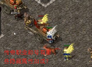 传奇职业称号有哪些隐藏属性加成? 传奇职业称号有哪些隐藏属性加成?