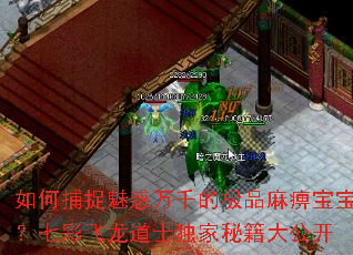 如何捕捉魅惑万千的极品麻痹宝宝?七彩飞龙道士独家秘籍大公开 如何捕捉魅惑万千的极品麻痹宝宝?七彩飞龙道士独家秘籍大公开