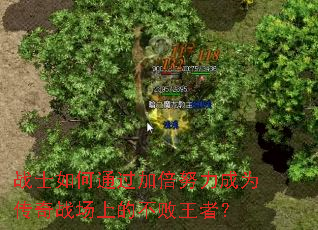 战士如何通过加倍努力成为传奇战场上的不败王者? 战士如何通过加倍努力成为传奇战场上的不败王者?