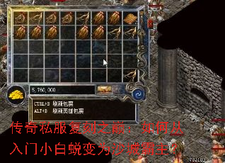 传奇私服复刻之巅:如何从入门小白蜕变为沙城霸主? 传奇私服复刻之巅:如何从入门小白蜕变为沙城霸主?