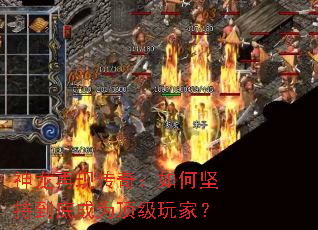 神龙再现传奇:如何坚持到底成为顶级玩家? 神龙再现传奇:如何坚持到底成为顶级玩家?