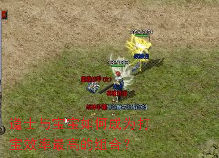 道士与宝宝如何成为打宝效率最高的组合? 道士与宝宝如何成为打宝效率最高的组合?