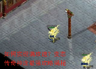 ���ʵ�������٣���̬������;��ǿ���Խ���