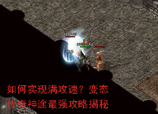���ʵ�������٣���̬������;��ǿ���Խ���