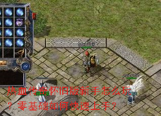 ��Ѫ���滳�ɰ�������ô�棿�������ο������֣�