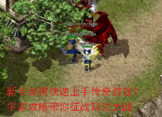 ������ο������ִ�����Ϸ��ƽ�ҹ��Դ�����ս�귨��½