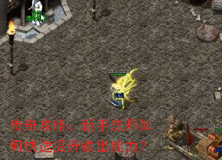 传奇攻略:新手法师如何快速提升输出能力? 传奇攻略:新手法师如何快速提升输出能力?