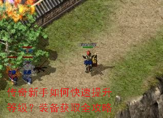 传奇新手如何快速提升等级?装备获取全攻略 传奇新手如何快速提升等级?装备获取全攻略